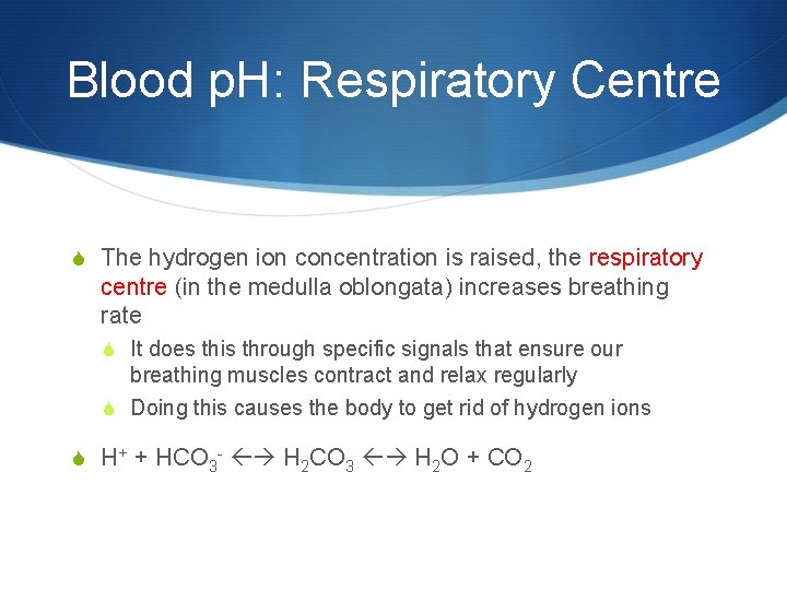 Blood p. H: Respiratory Centre S The hydrogen ion concentration is raised, the respiratory