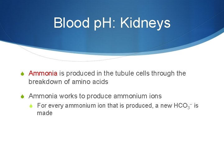 Blood p. H: Kidneys S Ammonia is produced in the tubule cells through the