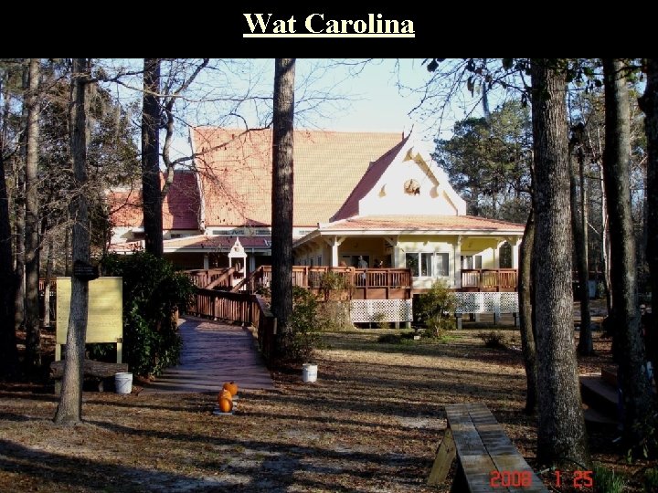 Wat Carolina 