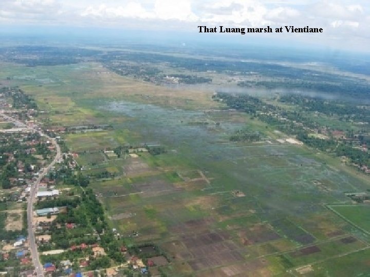 That Luang marsh at Vientiane 