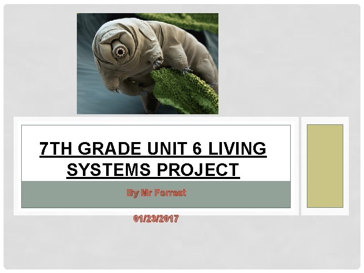 7 TH GRADE UNIT 6 LIVING SYSTEMS PROJECT By Mr Forrest 01/23/2017 