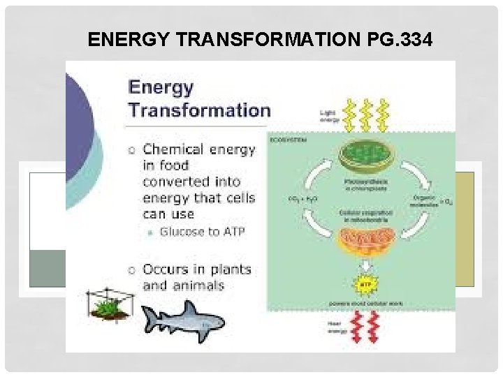 ENERGY TRANSFORMATION PG. 334 