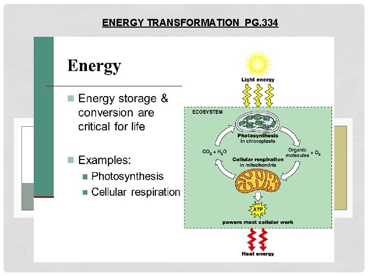 ENERGY TRANSFORMATION PG. 334 
