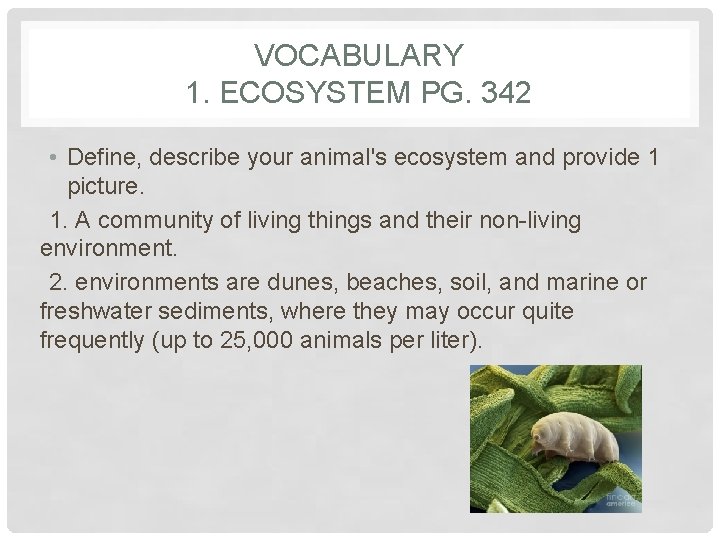 VOCABULARY 1. ECOSYSTEM PG. 342 • Define, describe your animal's ecosystem and provide 1