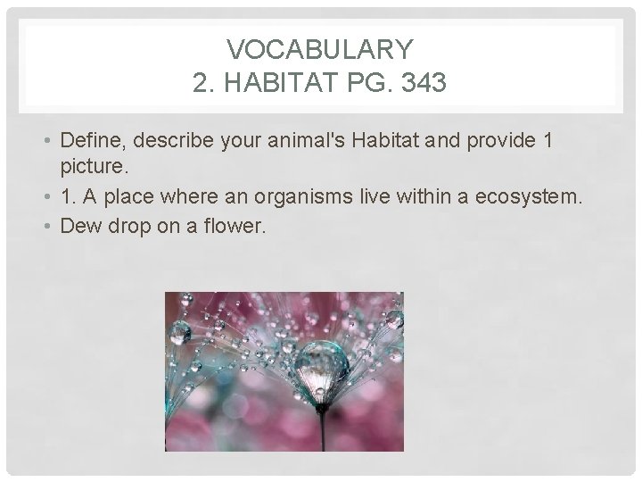 VOCABULARY 2. HABITAT PG. 343 • Define, describe your animal's Habitat and provide 1