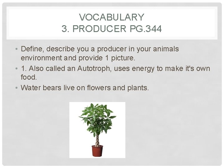 VOCABULARY 3. PRODUCER PG. 344 • Define, describe you a producer in your animals