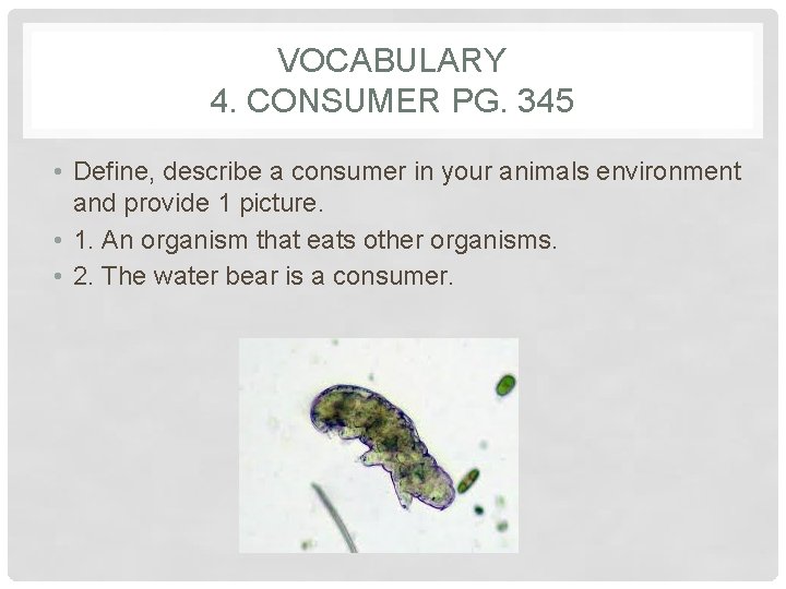 VOCABULARY 4. CONSUMER PG. 345 • Define, describe a consumer in your animals environment
