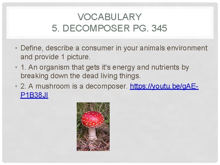 VOCABULARY 5. DECOMPOSER PG. 345 • Define, describe a consumer in your animals environment