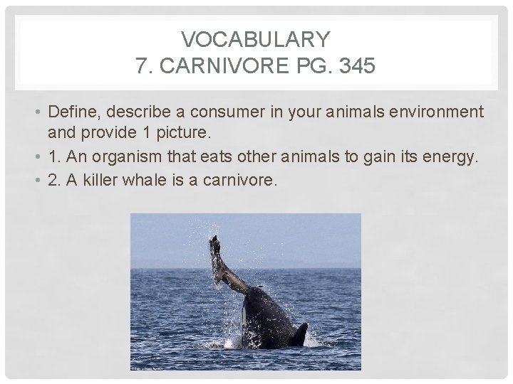 VOCABULARY 7. CARNIVORE PG. 345 • Define, describe a consumer in your animals environment