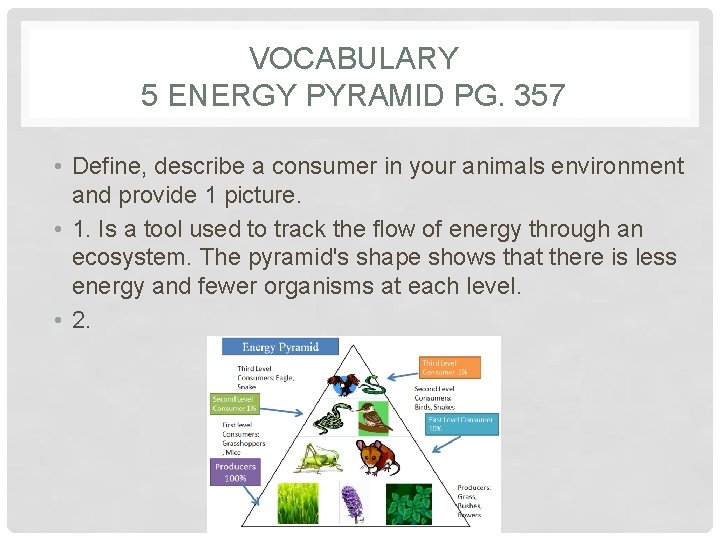 VOCABULARY 5 ENERGY PYRAMID PG. 357 • Define, describe a consumer in your animals