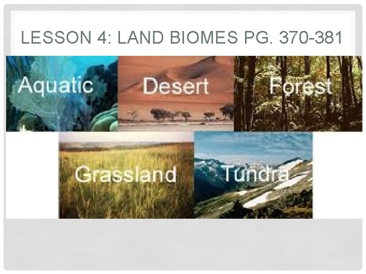 LESSON 4: LAND BIOMES PG. 370 -381 