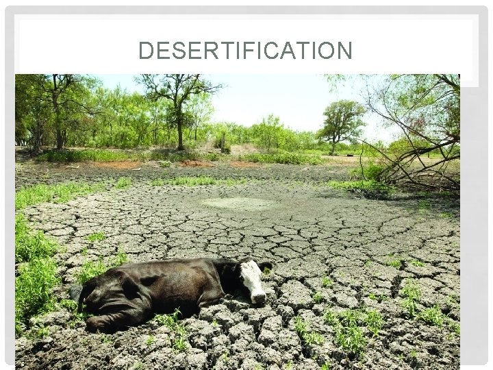 DESERTIFICATION 
