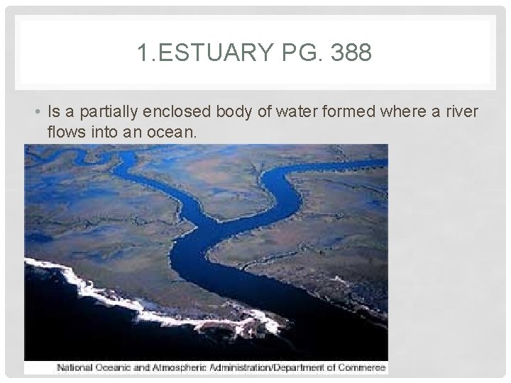 1. ESTUARY PG. 388 • Is a partially enclosed body of water formed where