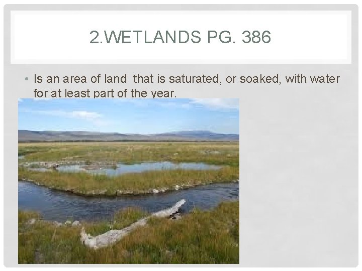 2. WETLANDS PG. 386 • Is an area of land that is saturated, or