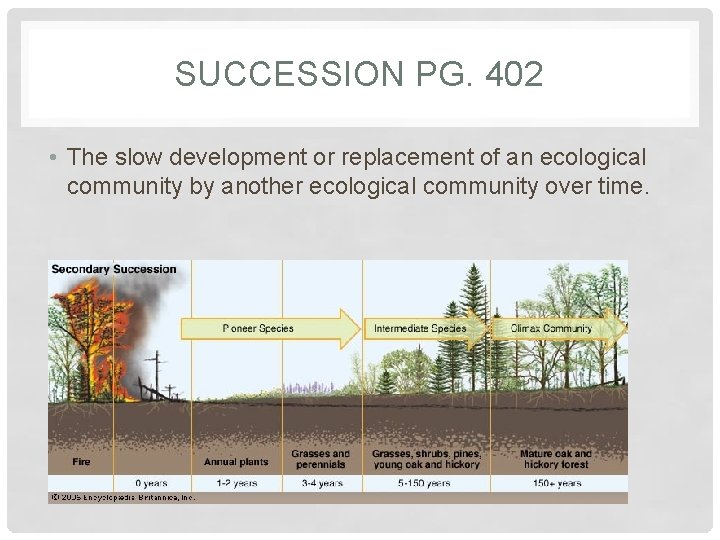 SUCCESSION PG. 402 • The slow development or replacement of an ecological community by