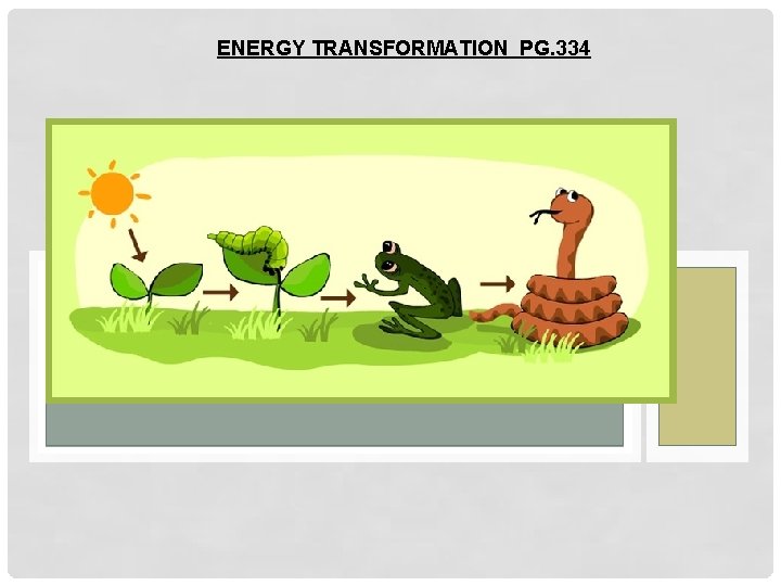 ENERGY TRANSFORMATION PG. 334 
