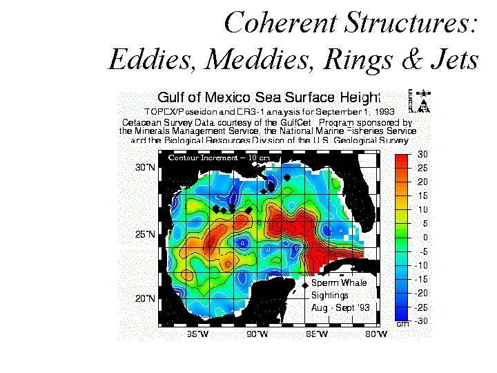 Coherent Structures: Eddies, Meddies, Rings & Jets 