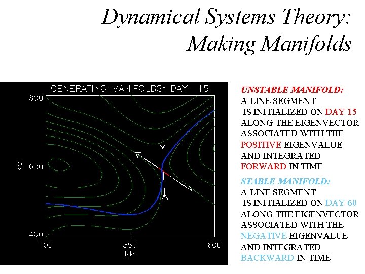 Dynamical Systems Theory: Making Manifolds UNSTABLE MANIFOLD: A LINE SEGMENT IS INITIALIZED ON DAY