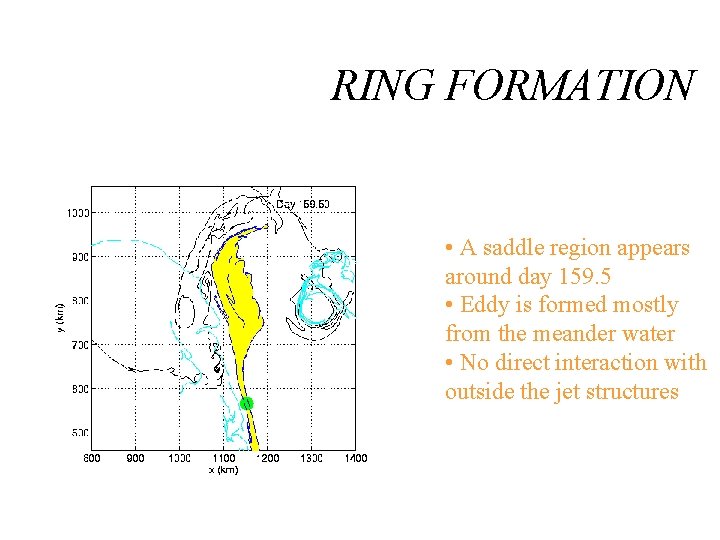 RING FORMATION • A saddle region appears around day 159. 5 • Eddy is