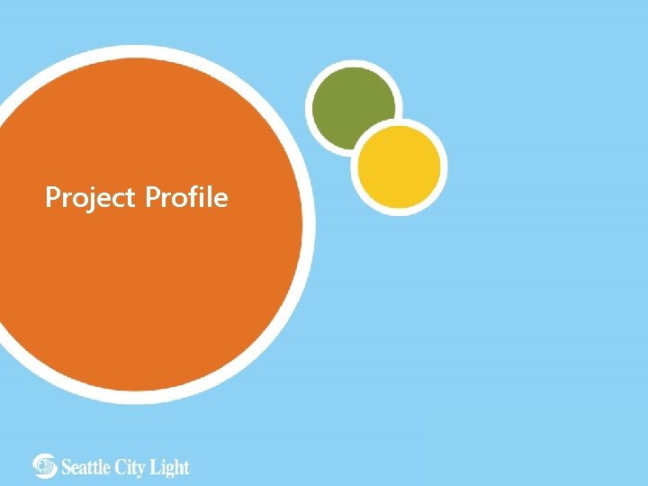 Project Profile 2 