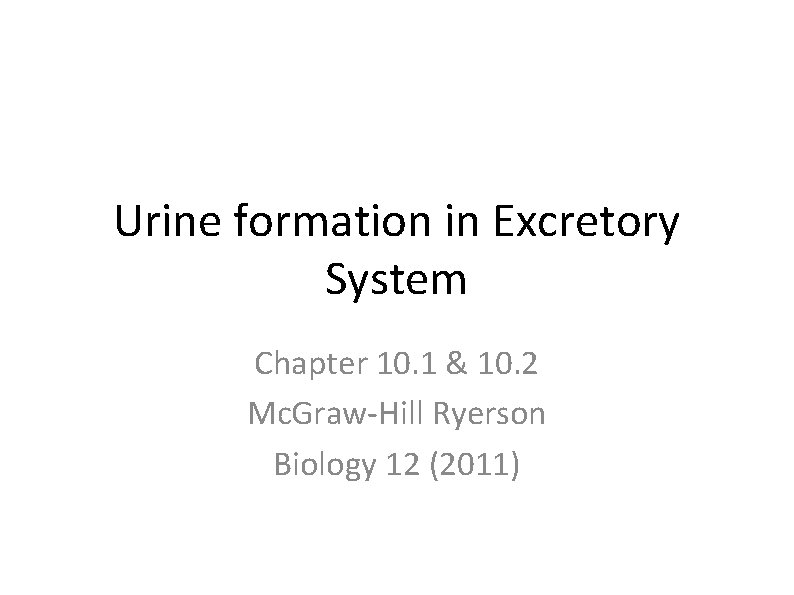 Urine formation in Excretory System Chapter 10. 1 & 10. 2 Mc. Graw-Hill Ryerson