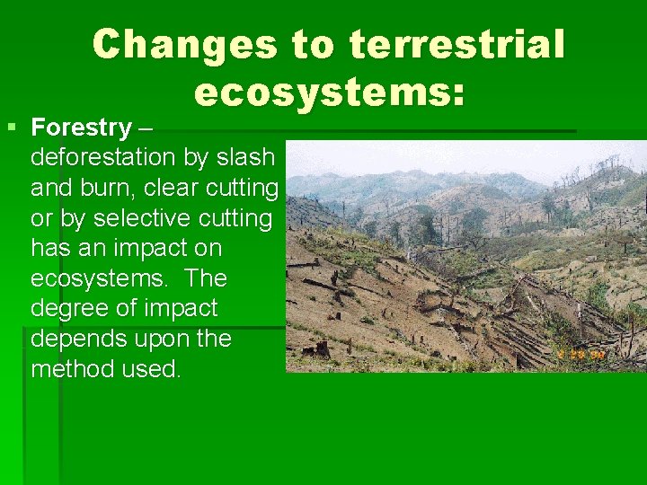 Changes to terrestrial ecosystems: § Forestry – deforestation by slash and burn, clear cutting