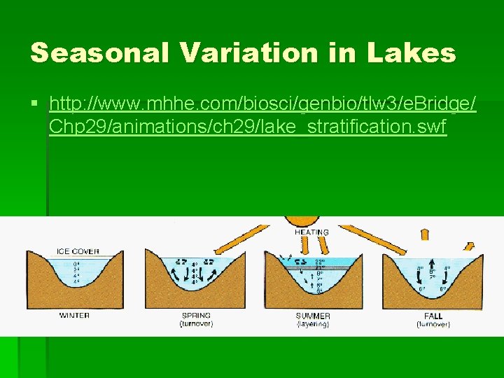 Seasonal Variation in Lakes § http: //www. mhhe. com/biosci/genbio/tlw 3/e. Bridge/ Chp 29/animations/ch 29/lake_stratification.