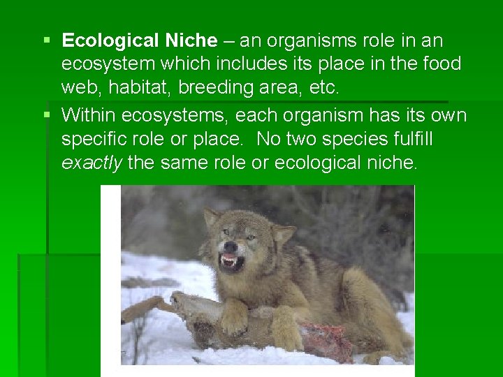 § Ecological Niche – an organisms role in an ecosystem which includes its place