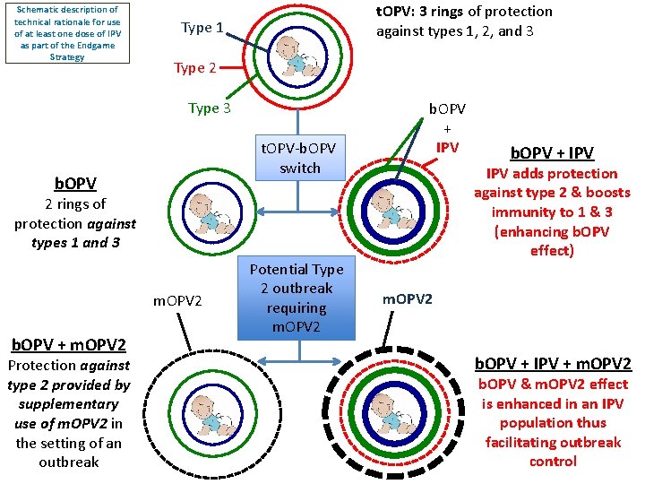 Schematic description of technical rationale for use of at least one dose of IPV