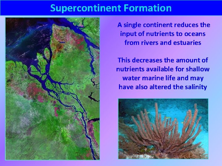 Supercontinent Formation A single continent reduces the input of nutrients to oceans from rivers