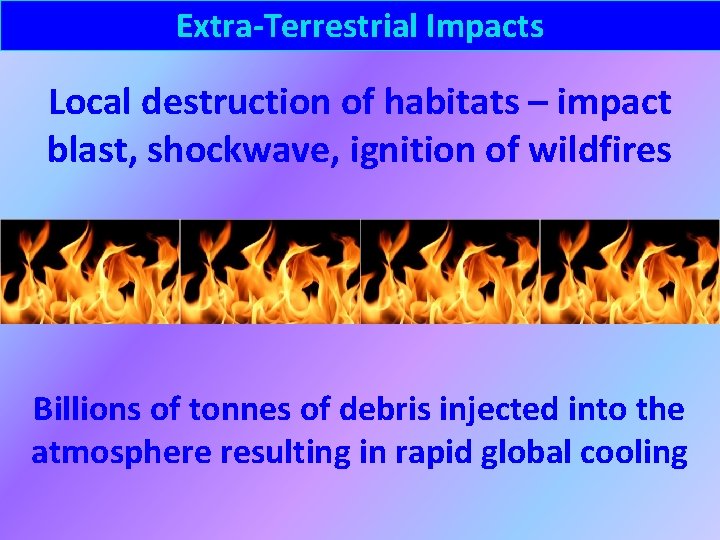Extra-Terrestrial Impacts Local destruction of habitats – impact blast, shockwave, ignition of wildfires Billions