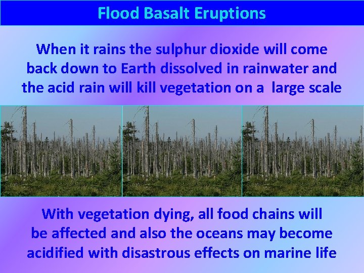 Flood Basalt Eruptions When it rains the sulphur dioxide will come back down to