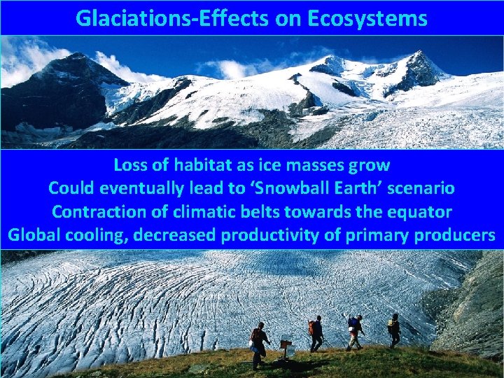 Glaciations-Effects on Ecosystems Loss of habitat as ice masses grow Could eventually lead to