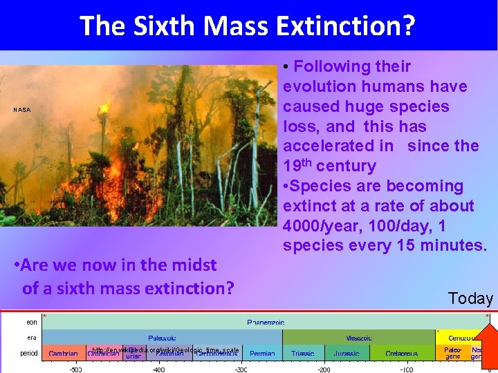 The Sixth Mass Extinction? NASA • Are we now in the midst of a