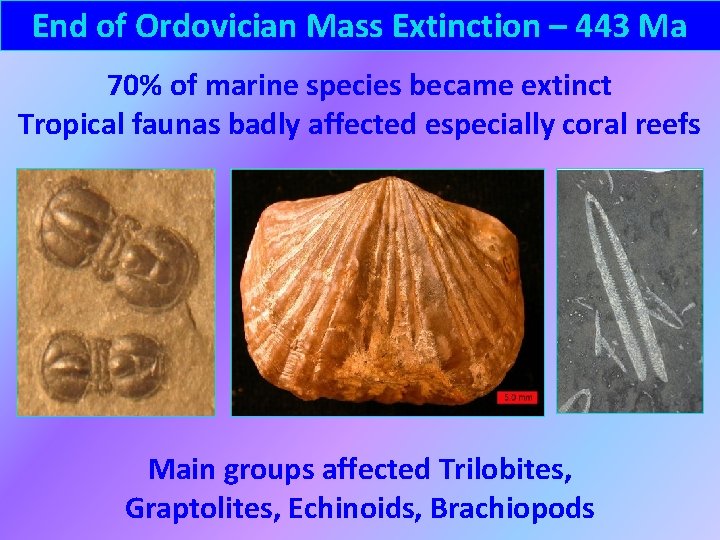 End of Ordovician Mass Extinction – 443 Ma 70% of marine species became extinct