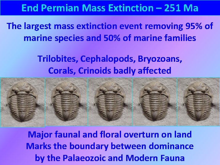End Permian Mass Extinction – 251 Ma The largest mass extinction event removing 95%
