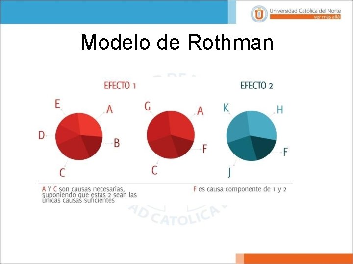 Modelo de Rothman 