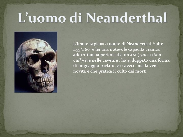 L’uomo di Neanderthal L’homo sapiens o uomo di Neanderthal è alto 1. 55/1. 66