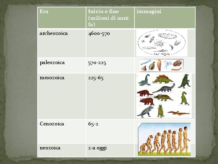 Era Inizio e fine (milioni di anni fa) archeozoica 4600 -570 paleozoica 570 -225