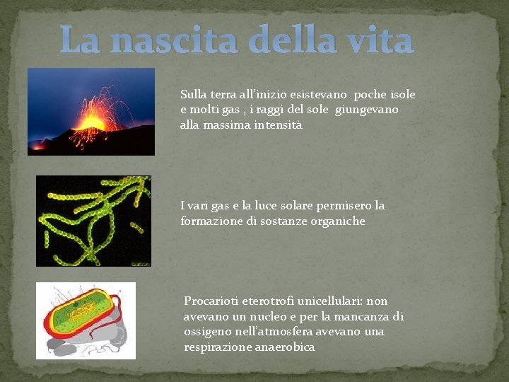 La nascita della vita Sulla terra all’inizio esistevano poche isole e molti gas ,