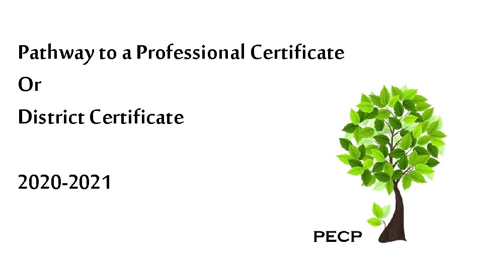 Pathway to a Professional Certificate Or District Certificate 2020 -2021 