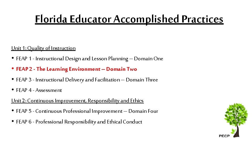 Florida Educator Accomplished Practices Unit 1: Quality of Instruction • FEAP 1 - Instructional