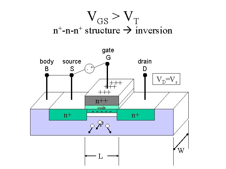 VGS > VT n+-n-n+ structure inversion body B source S n+ gate G -