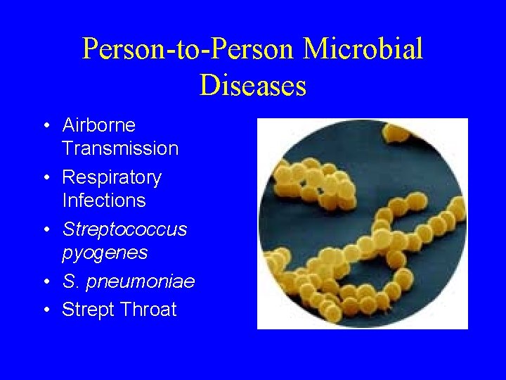 Person-to-Person Microbial Diseases • Airborne Transmission • Respiratory Infections • Streptococcus pyogenes • S.