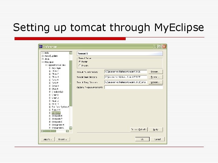 Setting up tomcat through My. Eclipse 
