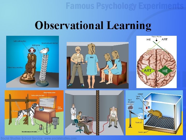 Observational Learning 1 