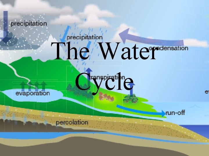 The Water Cycle 