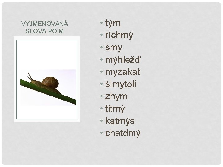 VYJMENOVANÁ SLOVA PO M • tým • říchmý • šmy • mýhležď • myzakat