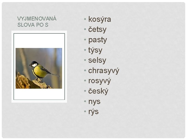 VYJMENOVANÁ SLOVA PO S • kosýra • četsy • pasty • týsy • selsy