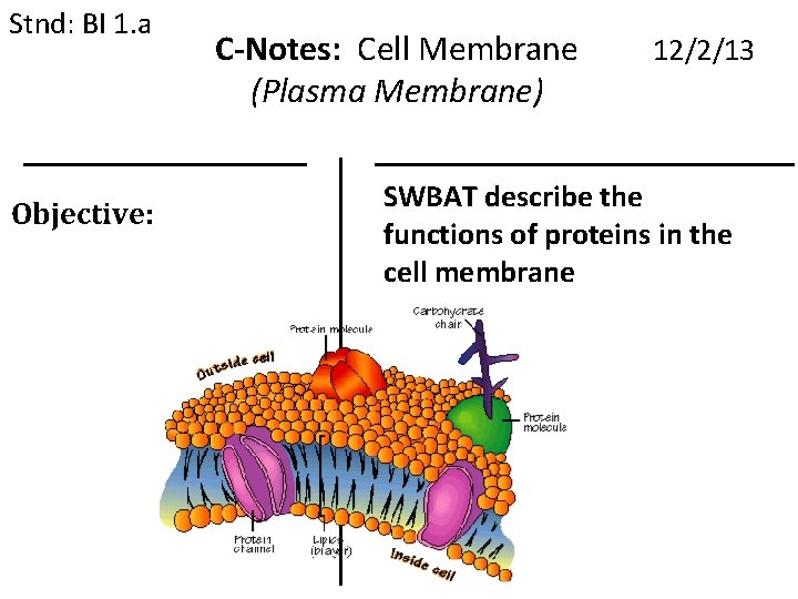 Stnd: BI 1. a Objective: C-Notes: Cell Membrane (Plasma Membrane) 12/2/13 SWBAT describe the